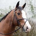 Mackey Classic Padded Grackle Bridle Black additional 3