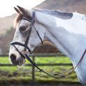 Mackey Legend Athena Bridle Brown additional 1