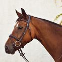 Mackey Legend Flash Bridle Black additional 3