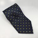 Equetech Polka Dot Show Tie Navy/Gold additional 2