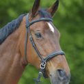 Waldhausen Star Bitless Black Bridle additional 3