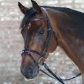 Waldhausen Diamond Pink Star Bridle additional 1