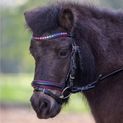 Waldhausen Pinky Pink Star Bridle additional 1