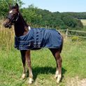 Waldhausen Navy Turnout Rug for Foals additional 1
