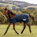 Waldhausen Navy Turnout Rug for Foals additional 2