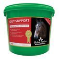 Global Herbs Gut Support additional 2