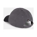 Dickies Everyday Dickies Twill Cotton  Cap Graphite additional 6