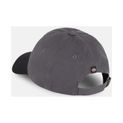 Dickies Everyday Dickies Twill Cotton  Cap Graphite additional 2