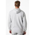 Helly Hansen Classic Hoodie Grey Fog additional 2
