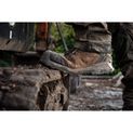Amblers AS961C Quarry Safety Boot Brown additional 7