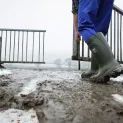 Bekina Thermolite IceShield S5 Safety Wellington Boots - Green additional 4
