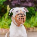 Baskerville Wide Fit Basket Muzzle additional 2