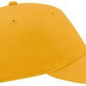 Atlantis Shot Curved Visor 5 Panel Structured Cap additional 26