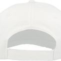 Atlantis Start 5 Cap 5 Panel additional 28