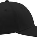 Atlantis Pitcher Flexible Fit 6 Panel Cap - Black additional 6