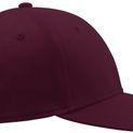 Atlantis Pitcher Flexible Fit 6 Panel Cap - Burgundy additional 4