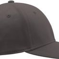 Atlantis Pitcher Flexible Fit 6 Panel Cap - Grey additional 5