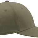 Atlantis Pitcher Flexible Fit 6 Panel Cap - Olive additional 5