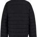 Regatta Professional Essential Thermal Jacket - Black additional 14