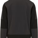 Regatta Professional Evolve Unisex 2 Layer Softshell Jacket - Ash/Black additional 3