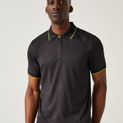 Regatta Professional Navigate Recycled Short Sleeve Polo - Black/Lime additional 6