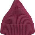 Atlantis Andy Recycled Polyester Acrylic Beanie additional 26