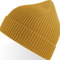 Atlantis Andy Recycled Polyester Acrylic Beanie additional 11