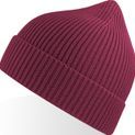 Atlantis Andy Recycled Polyester Acrylic Beanie additional 14