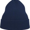 Atlantis Andy Recycled Polyester Acrylic Beanie additional 5