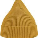 Atlantis Andy Recycled Polyester Acrylic Beanie additional 29