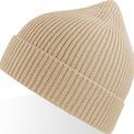Atlantis Andy Recycled Polyester Acrylic Beanie additional 17