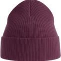 Atlantis Nelson S Organic 2x1 Rib Cuffed Beanie additional 2