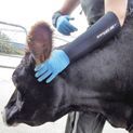 Dry Cuffs For Forearms in Black additional 4