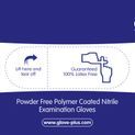Glove Plus Standard Nitrile Glove Blue Powder Free (100Pk) additional 2