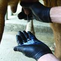 Milkers™ Nitrile Glove Black Powder Free (90Pk) additional 4