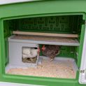Kerbl Mobile Poultry Coop additional 3