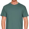 Casual Classics Supreme Organic Combed 220 T-Shirt - Pine Green additional 3