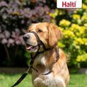 Halti Headcollar Black additional 6