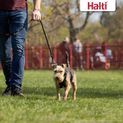 Halti No Pull Harness Black additional 2