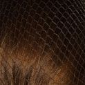 Harpley Equestrian Hairnets Standard additional 1