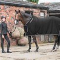 Whitaker R160 Club Show Rug Black additional 4
