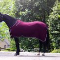 Whitaker R160 Club Show Rug Burgundy additional 3