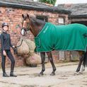 Whitaker R160 Club Show Rug Green additional 2