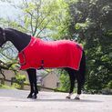 Whitaker R160 Club Show Rug Red additional 1