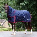 Whitaker R441 Rastrick V2 0 G Fixed Neck Turnout Rug Navy additional 10