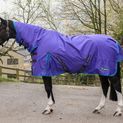 Whitaker R441 Rastrick V2 0G Fixed Neck Turnout Rug Purple additional 1