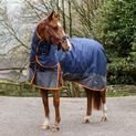 Whitaker R444 Rastrick V2 250G Combo Turnout Rug Navy/Grey additional 5