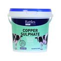 Battles Copper Sulphate additional 1