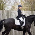 Coldstream Blakelaw Diamante Riding Gloves - Black/Silver additional 14