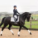 Coldstream Blakelaw Diamante Riding Gloves - Black/Silver additional 6